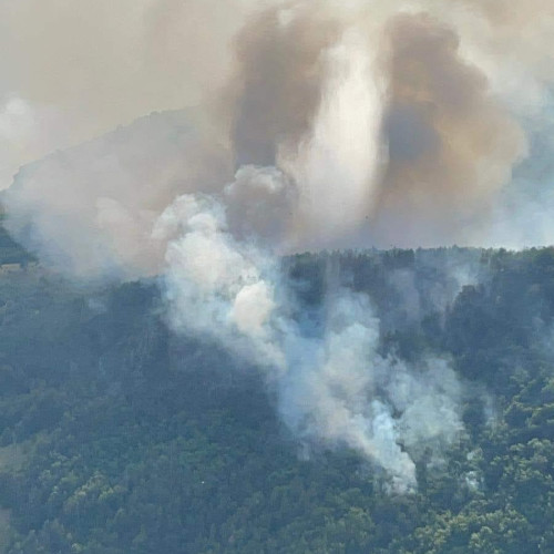 Intervenție pentru stingerea incendiului de litieră în zona localității Șvinița