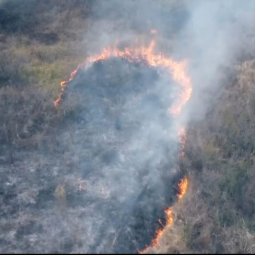 Incendiu de vegetație în Mehedinți, pompierii intervin rapid