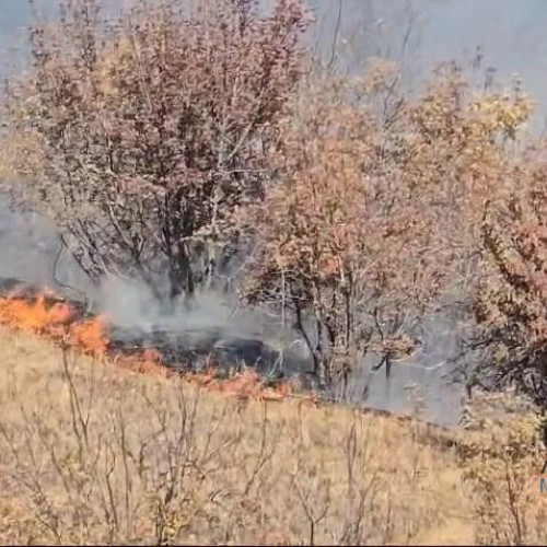 Incendiu de vegetație de 4 km în comuna Breznita Ocol