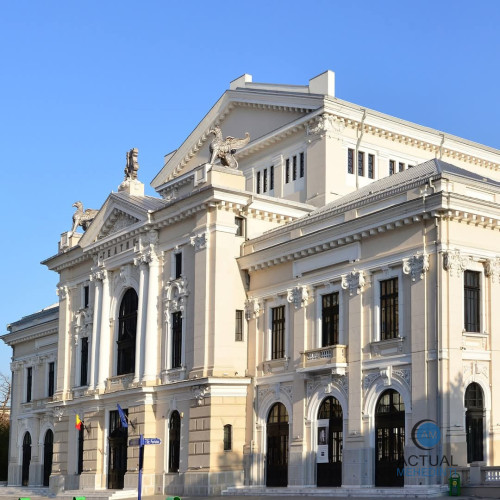 Votul în Senat pentru sprijinul culturii locale
