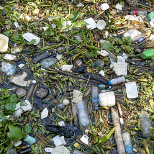 scăderea gradului de reciclare a deșeurilor la nivel național, anunțată de Garda de Mediu