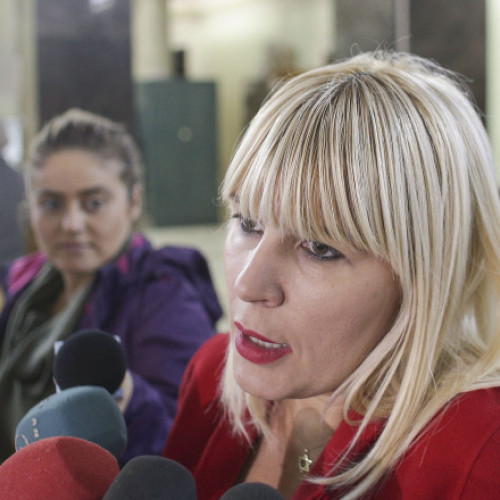 Elena Udrea își retrage cererea de liberare condiționată