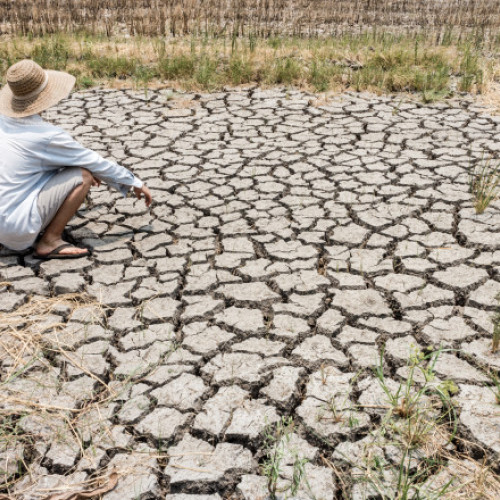Planeta ar putea depăși limita de 1,5 grade Celsius a încălzirii globale în doar trei ani