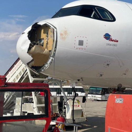 Video Un avion Iberia spre Paris s-a întors de urgență la Madrid după ce a lovit un vultur în zbor