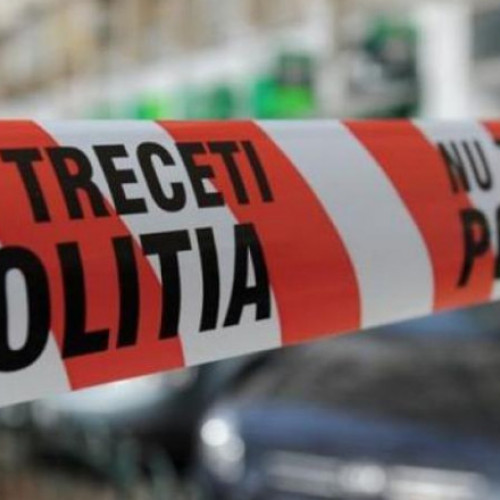 Dublă crimă în Teleorman. Un bărbat ieșit recent din închisoare e suspectat că a ucis o femeie în vârstă și pe fiul ei