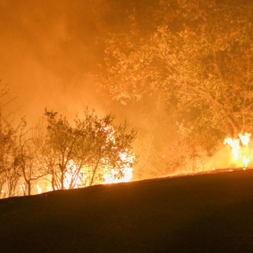 Video Franța se luptă cu cel mai puternic incendiu de vegetație de anul acesta. Ard pădurile în sud: un mort și 9 răniți