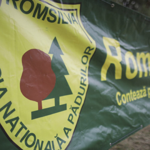 Noi contracte pentru membrii CA al Romsilva cu indemnizații reduse cu peste 50%. Buzoianu: „Regia se află într-o situație critică”