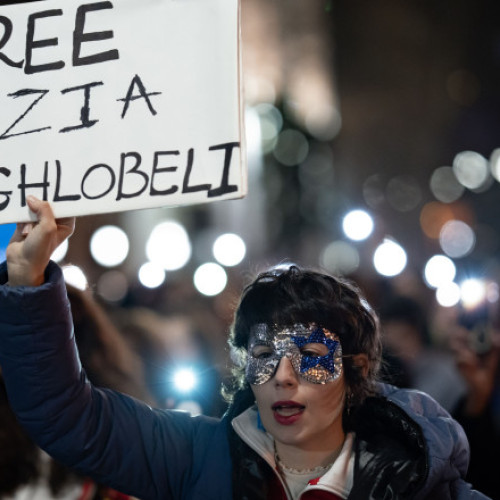 O jurnalistă din Georgia a fost condamnată la 2 ani de închisoare pentru că a lovit un polițist