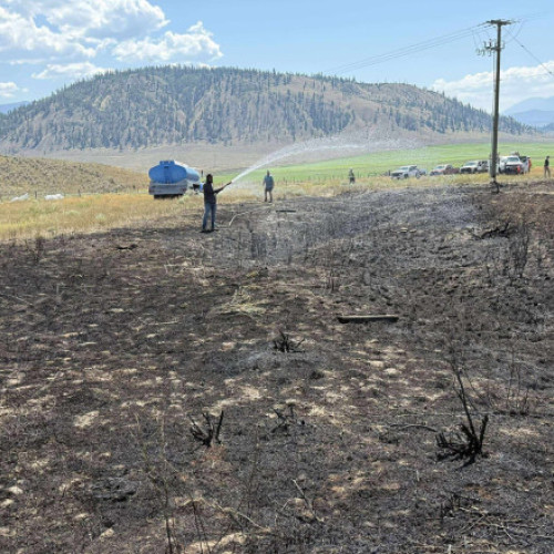 Foto Un peşte scăpat de o pasăre de pradă pe o linie de înaltă tensiune a provocat un incendiu în Canada. „A vrut să încerce peşte gătit”