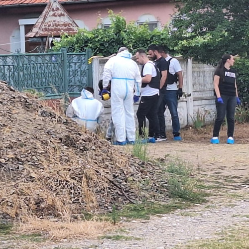 Bărbat din Devesel, ucis în gospodărie! Atacatorul l-ar fi lovit cu toporul și a fugit.