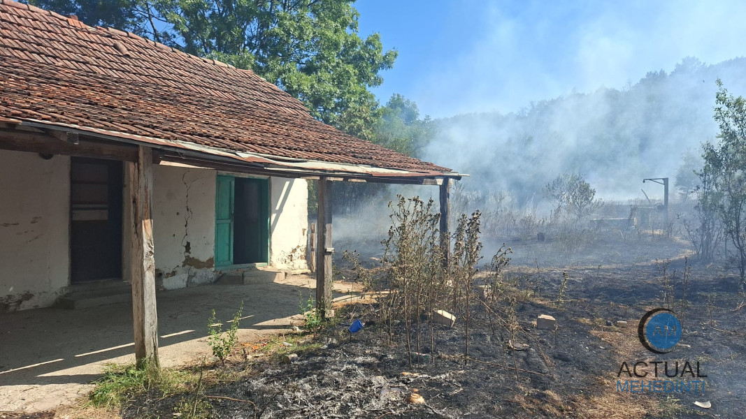 Incendiu de vegetație în Mehedinți: pompierii intervin la Valea Ursului