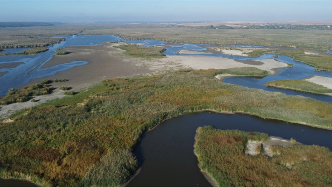 Dezastru ecologic în Delta Neajlovului: apa a scăzut cu trei metri