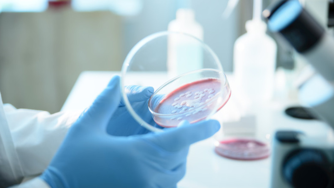 Anchetă la spitalul „Sfânta Maria” din Iași după șase decese suspecte asociate cu o bacterie