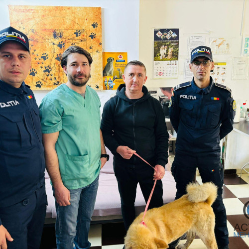 Polițiștii din Mehedinți salvează câine împușcat - Proprietarul mulțumit pentru intervenția rapidă a forțelor de ordine